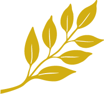 Nalu Mele